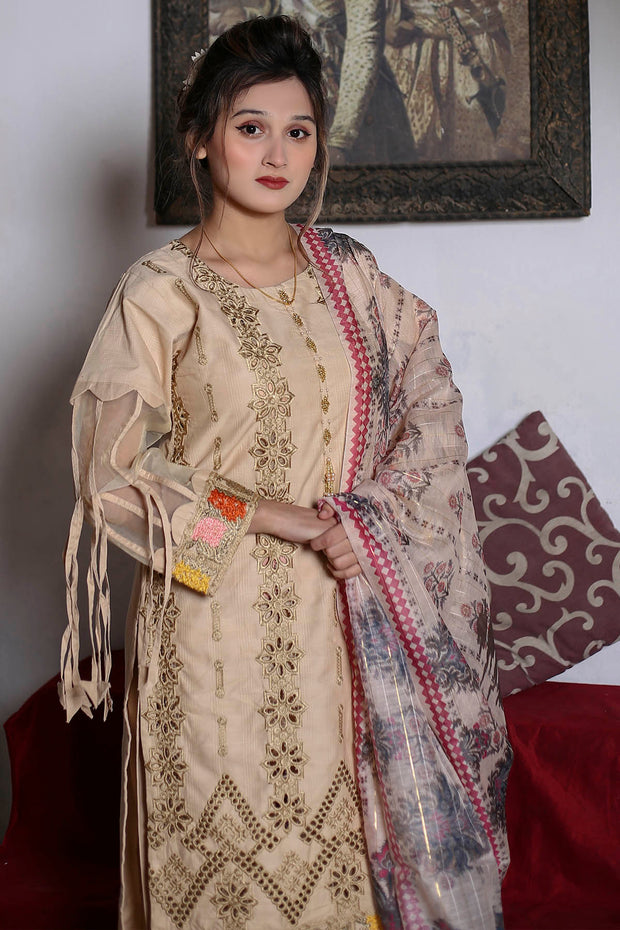 3PC Embroidered Khaddar Dress -04