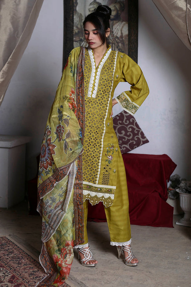 3PC Embroidered Khaddar Dress -02