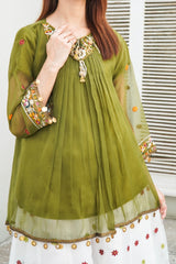 3PC Embroidered Chiffon Dress