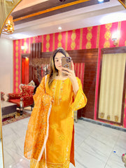 3PC Embroidered Khaddar Dress